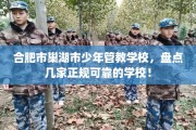 合肥市巢湖市少年管教学校，盘点几家正规可靠的学校！