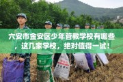 六安市金安区少年管教学校有哪些，这几家学校，绝对值得一试！