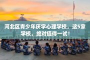 河北区青少年厌学心理学校，这5家学校，绝对值得一试！