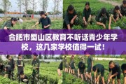 合肥市蜀山区教育不听话青少年学校，这几家学校值得一试！