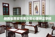 陕西省西安市青少年心理矫正学校