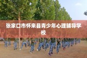 张家口市怀来县青少年心理辅导学校