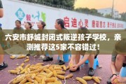 六安市舒城封闭式叛逆孩子学校，亲测推荐这5家不容错过！