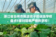 浙江省台州市叛逆孩子的训练学校，盘点5家对管教严格的学校！