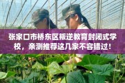 张家口市桥东区叛逆教育封闭式学校，亲测推荐这几家不容错过！