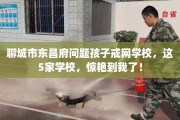 聊城市东昌府问题孩子戒网学校，这5家学校，惊艳到我了！