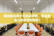 榆林励志青少年特训学校，专业挑选几家好评的学校！