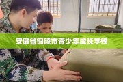 安徽省铜陵市青少年成长学校