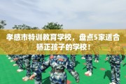孝感市特训教育学校，盘点5家适合矫正孩子的学校！