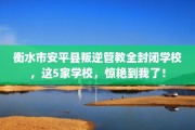 衡水市安平县叛逆管教全封闭学校，这5家学校，惊艳到我了！