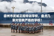 德州市武城正规特训学校，盘点几家对管教严格的学校！