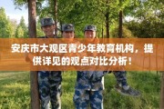 安庆市大观区青少年教育机构，提供详见的观点对比分析！