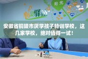 安徽省铜陵市厌学孩子特训学校，这几家学校，绝对值得一试！