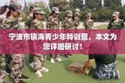 宁波市镇海青少年特训营，本文为您详细研讨！
