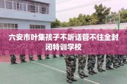 六安市叶集孩子不听话管不住全封闭特训学校