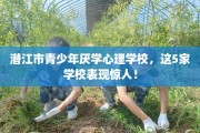 潜江市青少年厌学心理学校，这5家学校表现惊人！