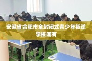 安徽省合肥市全封闭式青少年叛逆学校哪有