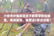 六安市叶集叛逆孩子教育学校在哪里，亲测高效，推荐这5家试试看！