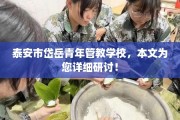 泰安市岱岳青年管教学校，本文为您详细研讨！