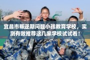 宜昌市叛逆期问题小孩教育学校，实测有效推荐这几家学校试试看！