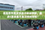青岛市平度厌学孩子特训学校，盘点5家改善不良习惯的学校！