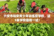 六安市裕安青少年训练营学校，这5家学校值得一试！