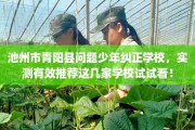 池州市青阳县问题少年纠正学校，实测有效推荐这几家学校试试看！