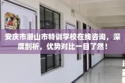 安庆市潜山市特训学校在线咨询，深度剖析，优势对比一目了然！