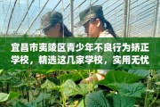 宜昌市夷陵区青少年不良行为矫正学校，精选这几家学校，实用无忧！