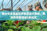 衡水市武邑县厌学叛逆孩子学校，亲测有效整理这5家试试