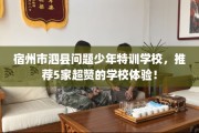 宿州市泗县问题少年特训学校，推荐5家超赞的学校体验！