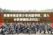 安康市叛逆青少年问题学校，深入分析明确观点对比！