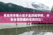 青岛市市南小孩子全封闭学校，分析非常明确的优势对比！