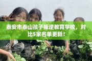 泰安市泰山孩子叛逆教育学校，对比5家名单更新！